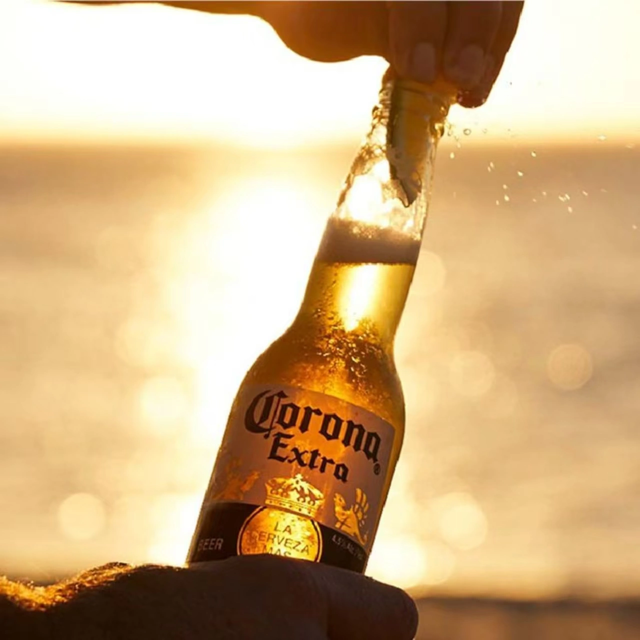 山姆商品133 详情 4